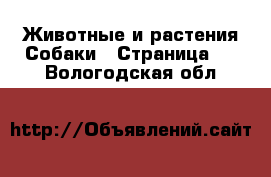 Животные и растения Собаки - Страница 8 . Вологодская обл.